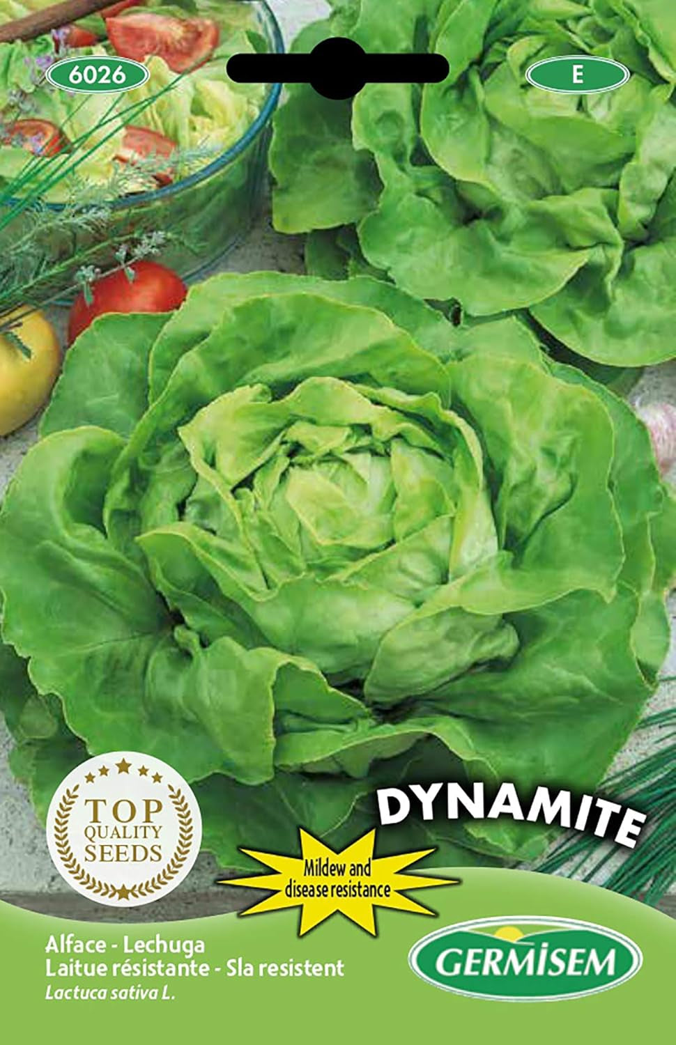Kopfsalat MARVEL of WINTER, Mehrfarbig, EC6020