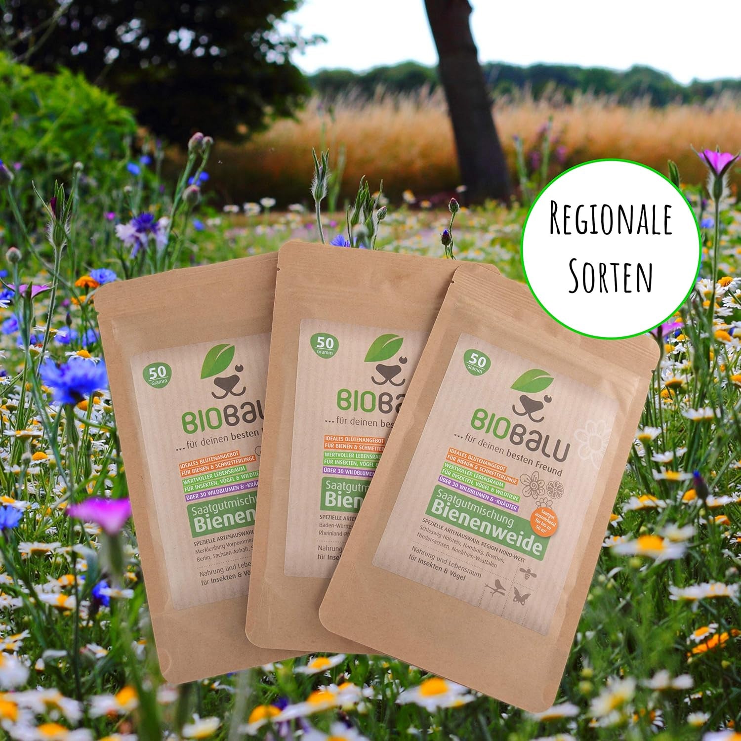 Semi di api - fiori di campo, perenni e resistenti all'inverno, semi - oltre 40 fiori autoctoni ed erbe selvatiche, selezione speciale di specie per la Germania meridionale, 50 g