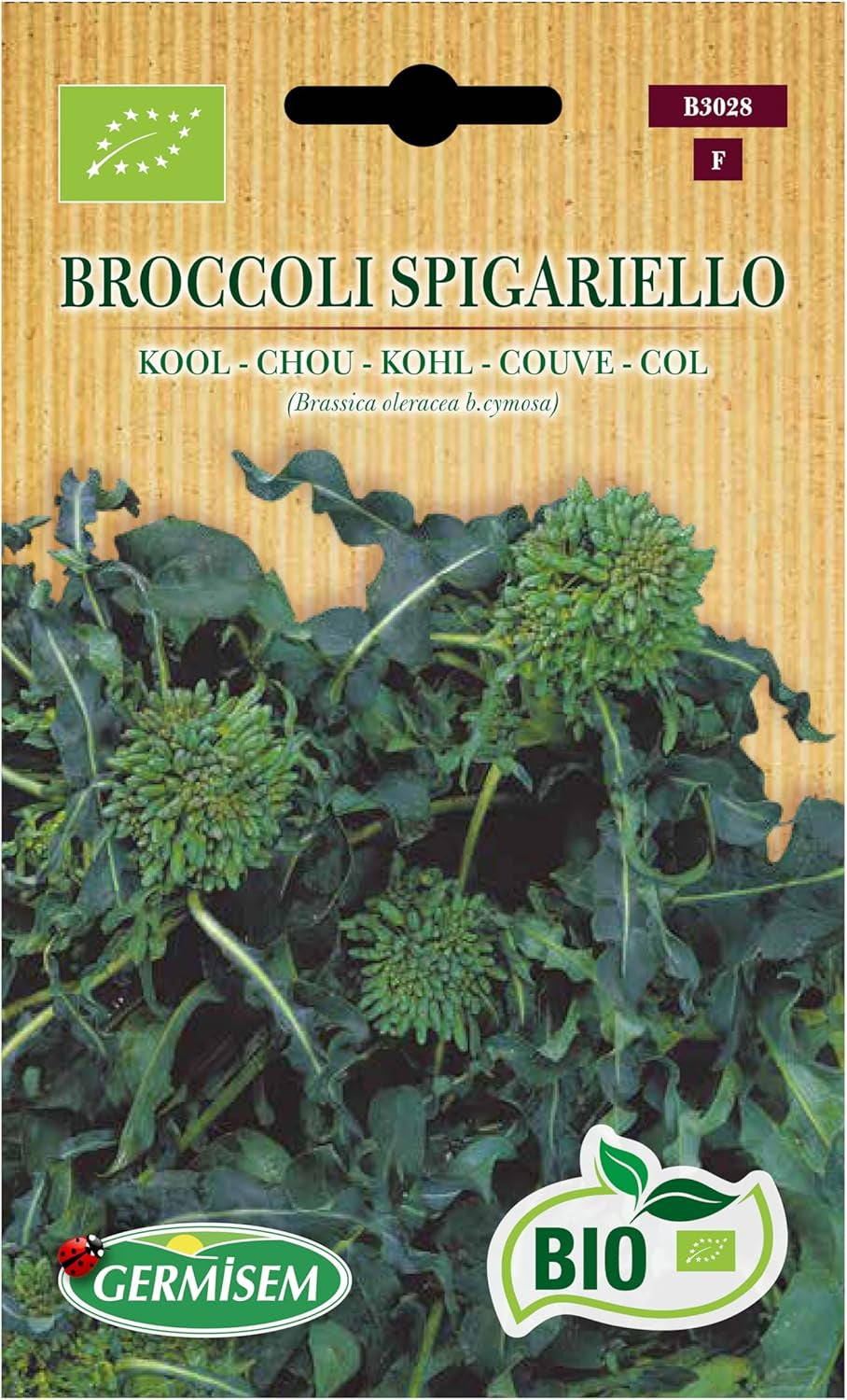 Kohl Broccoli Spigariello