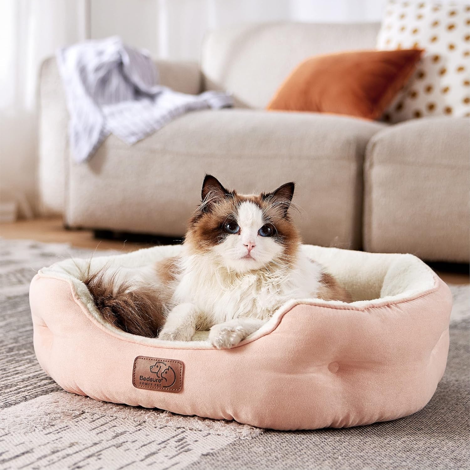 Paturi & Canapele, Pături & Mobilier, Animale de companie, Pisici, Paturi pentru pisici, Pisici - culcusuri, saltele