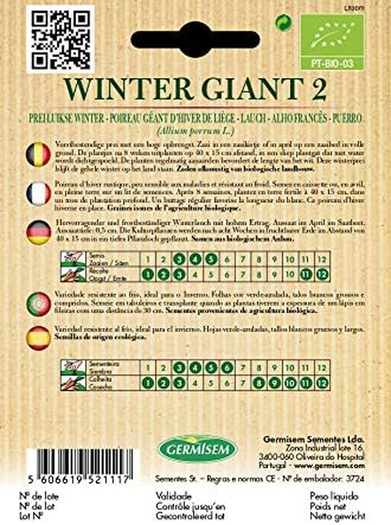 Lauch WINTER GIANT 2, ECBIO1017