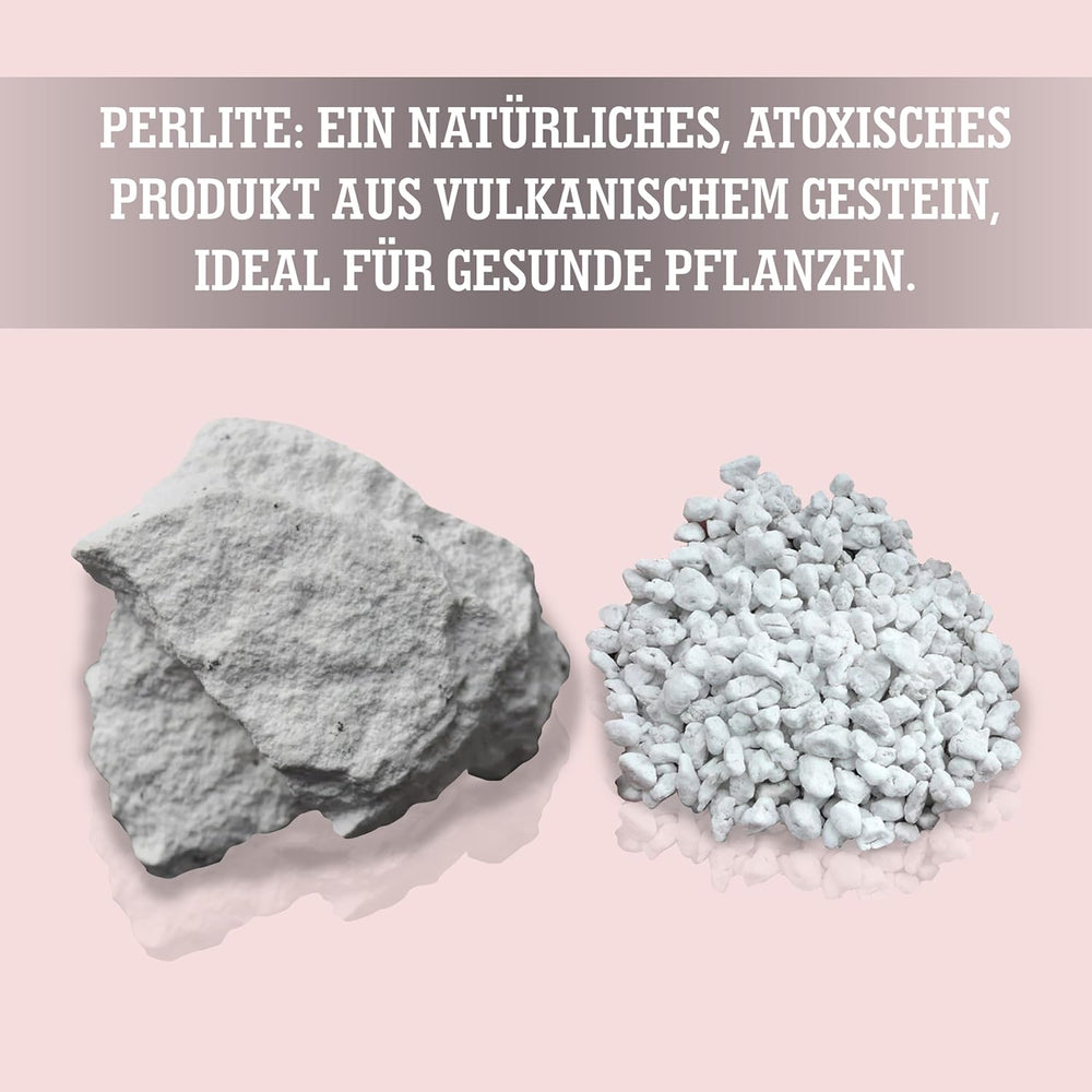 LERAVA® Perlite for Plants (5L) – Perlite a grana grossa per il miglioramento del suolo – Garantisce drenaggio e aerazione ottimali – Additivo naturale per terreno e coltura idroponica – Granuli per piante