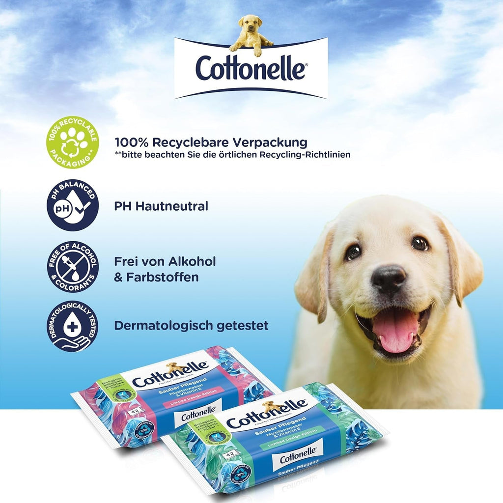 Șervețele umede, Clean Care - apă micelară și parfum de bumbac, biodegradabilă, fără plastic, resigilabilă, pachet valoric, 12 X 42 șervețele umede