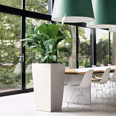 LECHUZA CUBICO Premium 50 alb lucios 18161