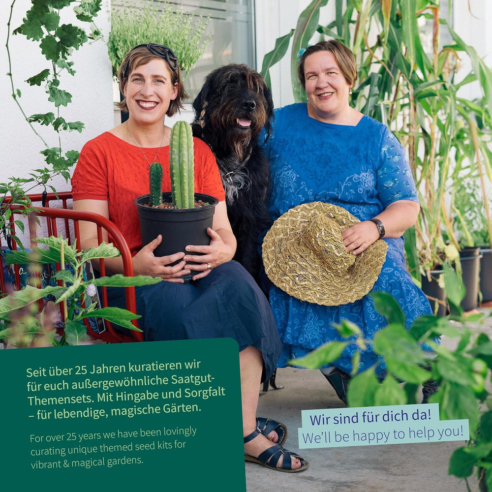 Magic Garden Seeds - Il giardino del monastero: verdure ed erbe aromatiche dal Medioevo - 9 storiche scatole di semi culinari, medicinali e da giardino