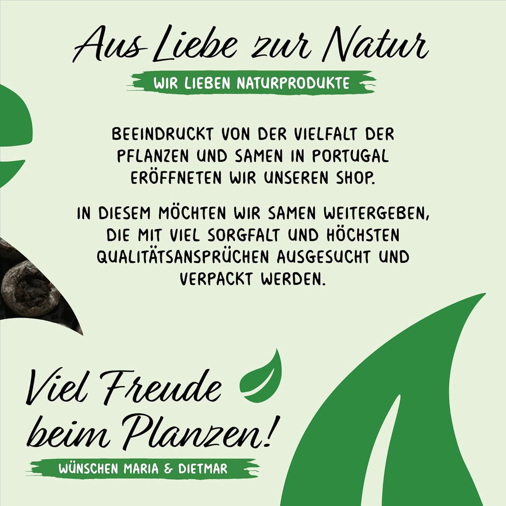 Prademir – Kräutersamen Set aus 16 beliebten Küchenkräutern – Kräuter Anzuchtset mit 100% Natursamen aus Portugal – Kräuter Saatgut aus Origano, Timo, Maggiorana, Rosmarino, Aneto, Basilico, Salvia uvm