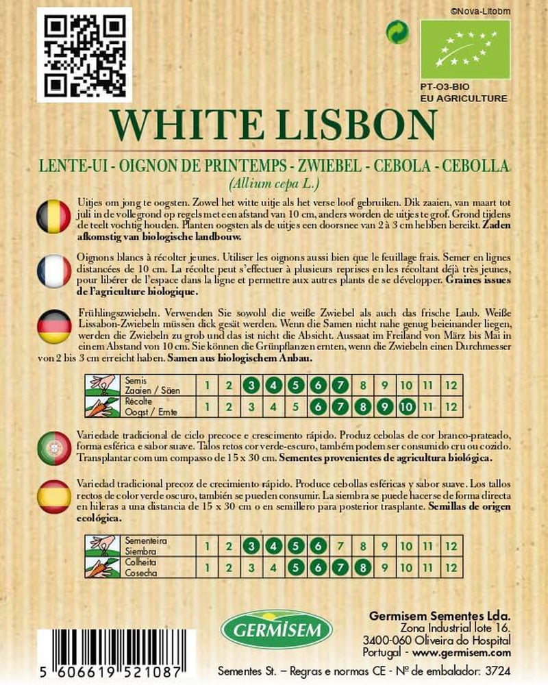Zwiebel WHITE LISBON, ECBIO1006