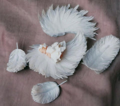 Decorazione commestibile, Battesimo, Ragazza