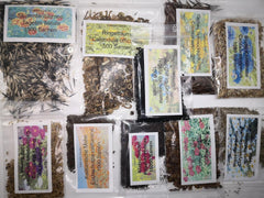 Set di semi di fiori di campo, 10 varietà, 28.000 semi, mix di fiori di campo con papaveri, campanule, calendule, margherite e altro, tutti confezionati singolarmente