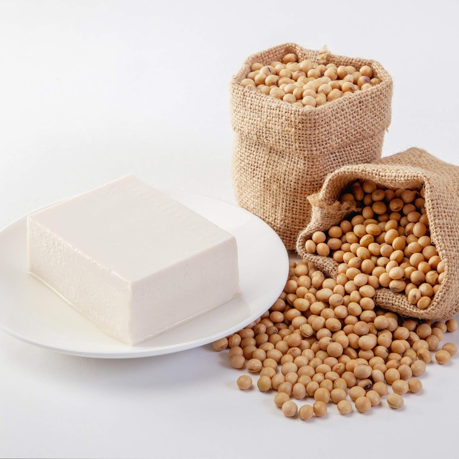 Soia gialla speciale per tofu 5 kg biologica