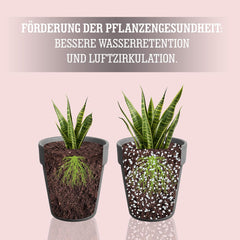 LERAVA® Perlite for Plants (5L) – Perlite a grana grossa per il miglioramento del suolo – Garantisce drenaggio e aerazione ottimali – Additivo naturale per terreno e coltura idroponica – Granuli per piante