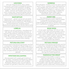 Set di semi di fiori Nojus - 10 varietà di semi di fiori - Semi di fiori da balcone - Semi di piante colorate - 10 confezioni - Semi di fiori selvatici - Bustine di semi di fiori - Regalo ideale di semi di fiori