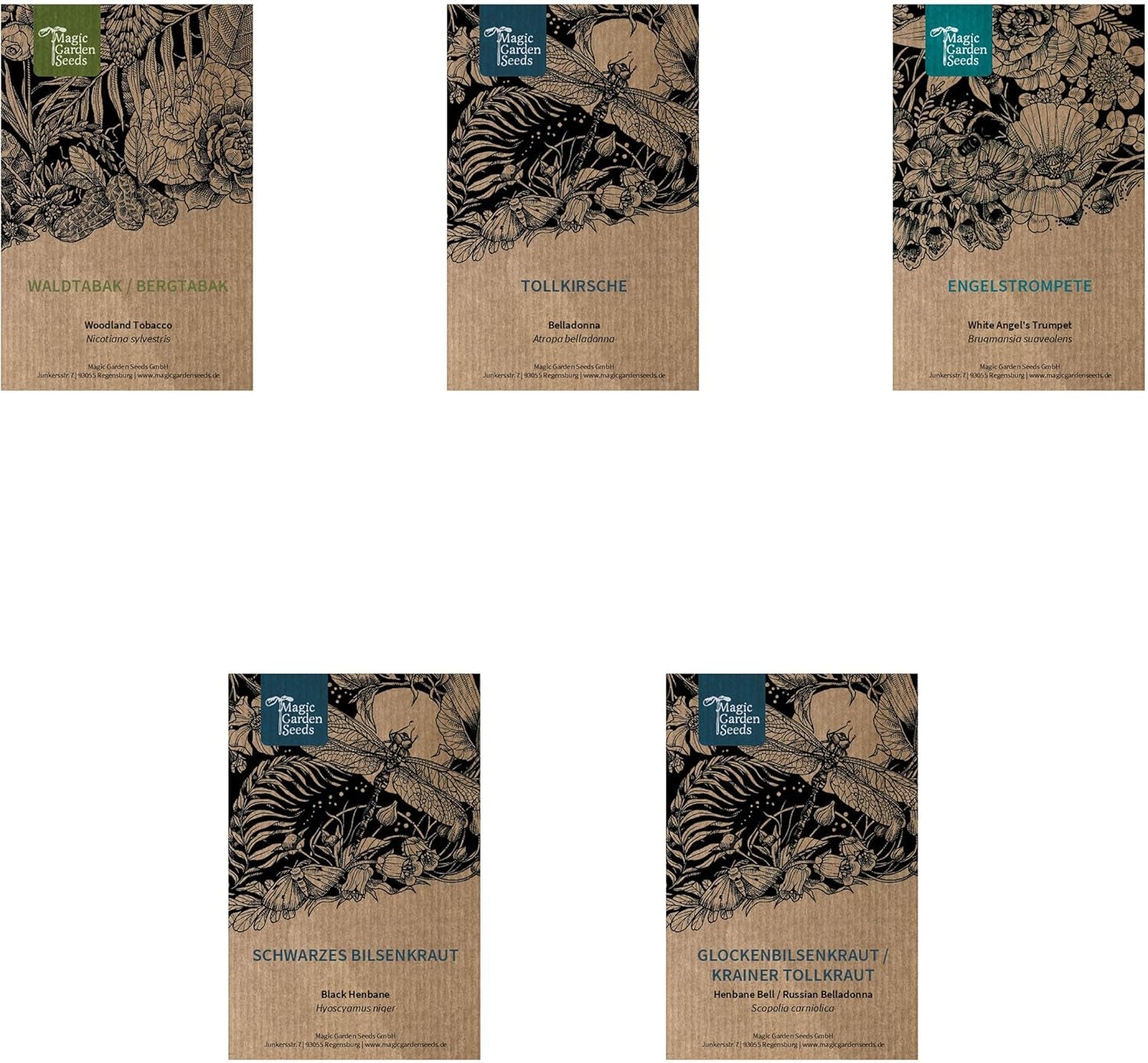 Piante leggendarie di equiseto - Set di semi con 5 piante magiche