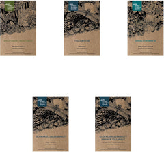 Piante leggendarie di equiseto - Set di semi con 5 piante magiche