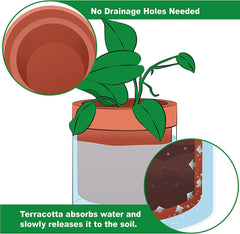 Ghiveci cu auto-udare, 15,2 cm, ghiveci din teracotă cu rezervor de sticlă pentru plante de apartament, ierburi aromatice, flori, 52-AF