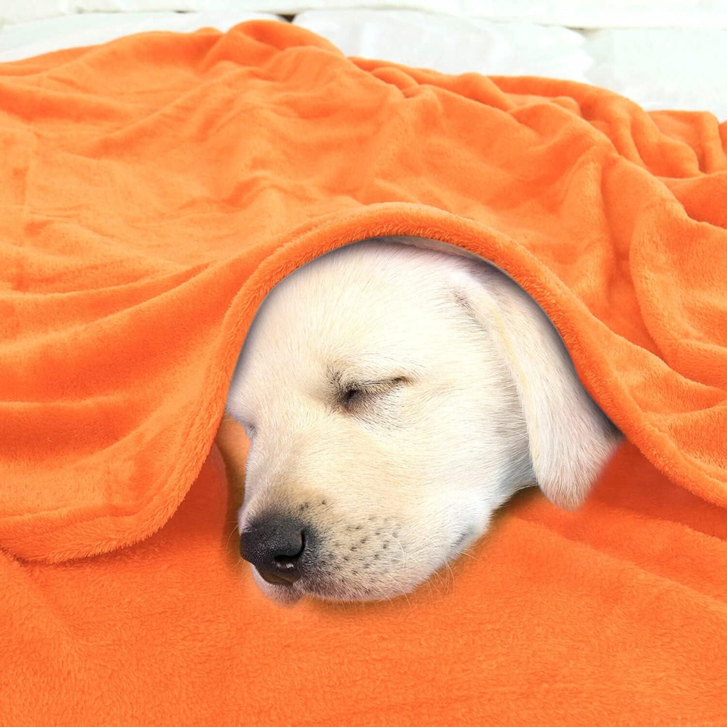 Sourcing Map Accogliente coperta coperta copriletto Morbida e calda coperta in pile come coperta per il divano Coperta per divano Soggiorno e morbida coperta Morbida coperta in peluche di lana Arancione 150X200Cm Letti e coperte Besuche den uxcell-Store