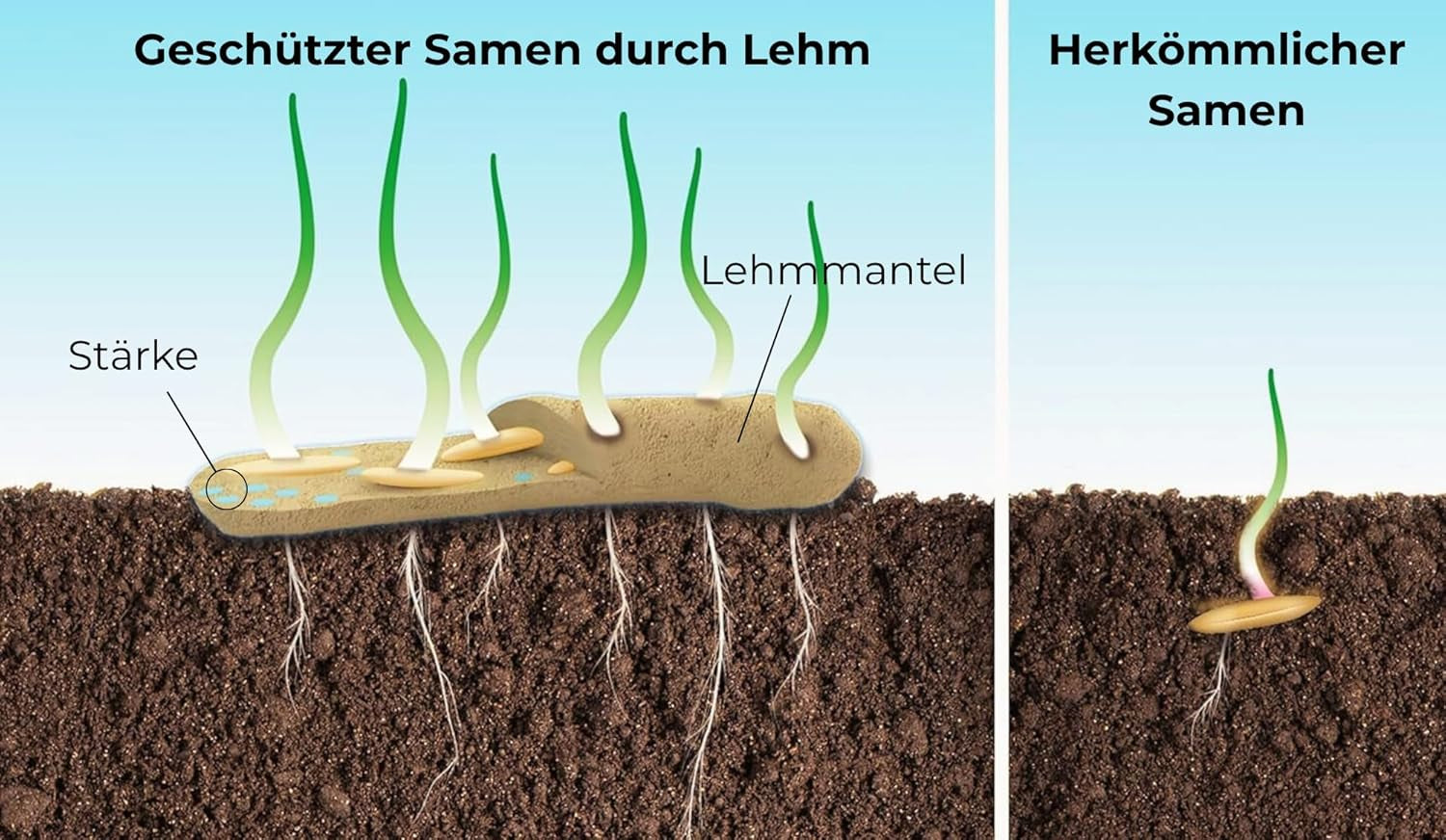 Semi di fiori ricoperti di argilla protettiva per api e farfalle, 400 g. Piante perenni e resistenti all'inverno, che creano un paesaggio fiorito di 20 m². Bellissimi semi di fiori di campo per un colorato pascolo di api. Regalo per bambini.