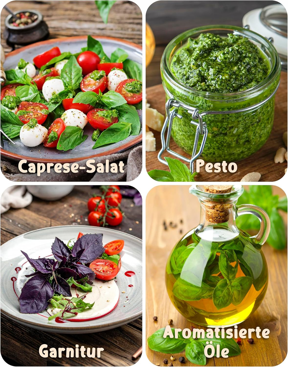 Semi di basilico biologico in set da 6 - 6 semi di basilico per una facile coltivazione in giardino, balcone o aiuola rialzata - Semi di piante - Piantine