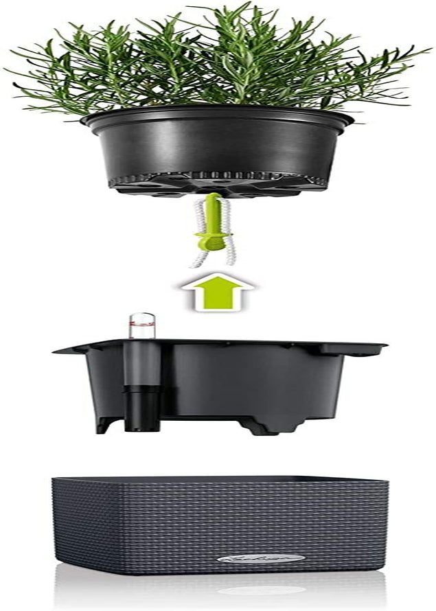 LECHUZA CUBE Culoare 16 gri ardezie 13584