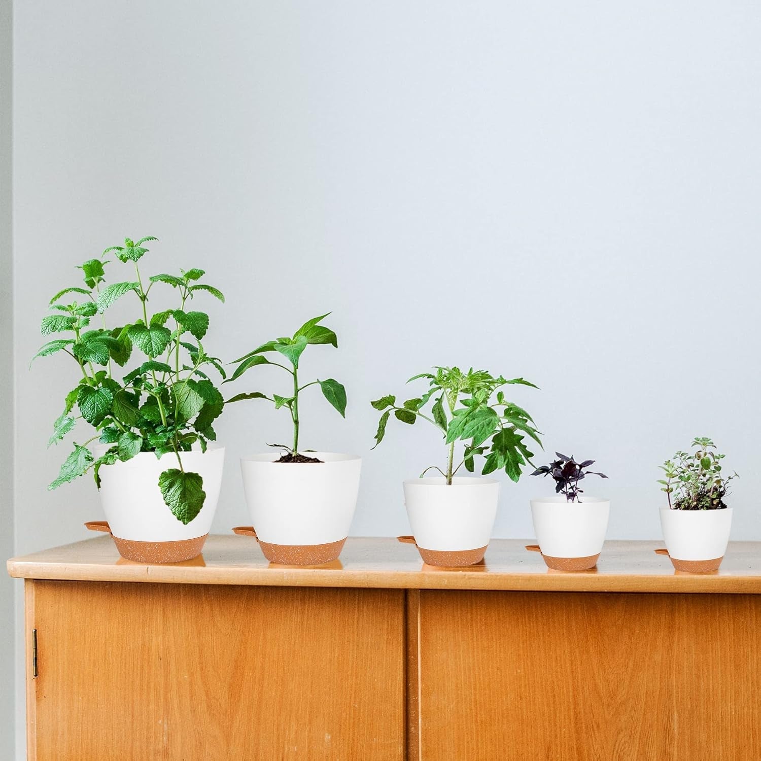 Ghiveci de flori CSYY, set de 7 ghivece de flori din plastic cu sistem de udare, 20,3/19/17,7/16,5/15,2/14/12,7 cm, ghiveci cu auto-udare și farfurie, pentru interior și exterior