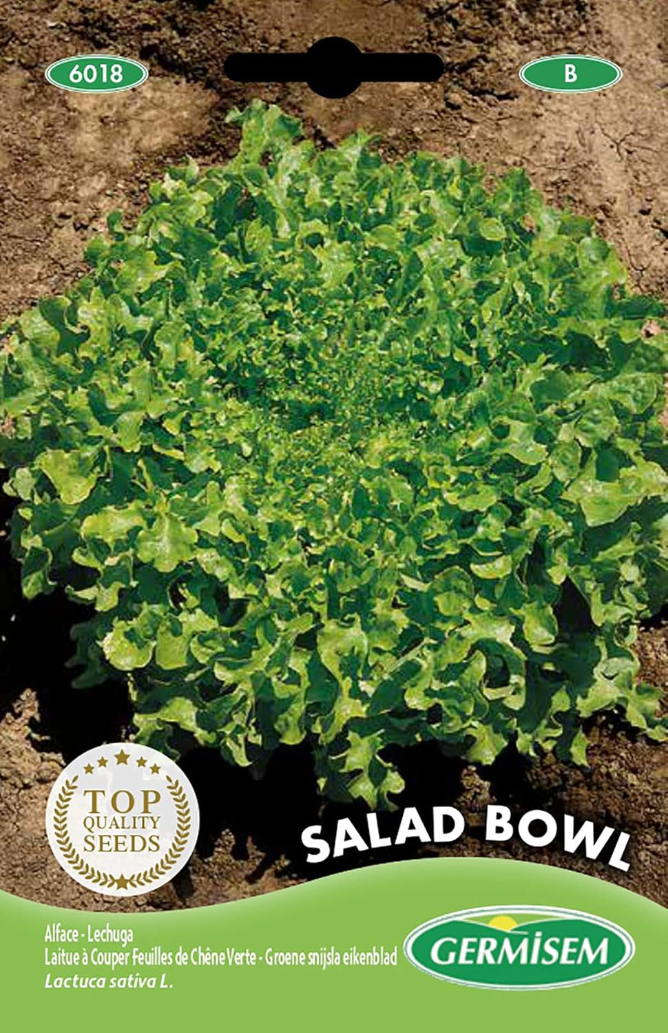Gartensalat LOLLO ROSSA, Mehrfarbig, EC6013