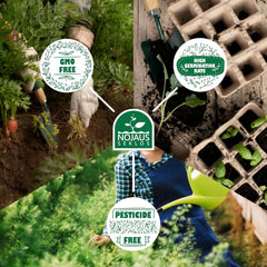 Set di semi di fiori Nojus - 10 varietà di semi di fiori - Semi di fiori da balcone - Semi di piante colorate - 10 confezioni - Semi di fiori selvatici - Bustine di semi di fiori - Regalo ideale di semi di fiori