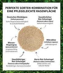 Dehner Saatgut Rasensamen, Mikroklee-Rasen, Hochwertige Saatgutmischung, Selbstdüngend/Selbstkeimend, 625 G, Für Ca. 25 M², Natur