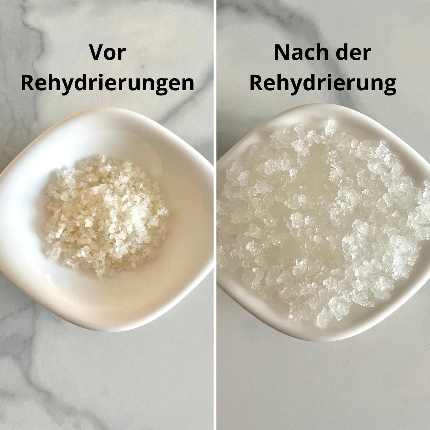 Natural Probio® Wasserkefir, Kefirpilz, Japankristalle, Kefirknollen, Starter Set + Anleitung, Rezept, Tipps, E-Book & Rezeptbibliothek + Kundenservice auf Lebenszeit (10g disidratato/60g reidratato)