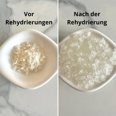 Natural Probio® Wasserkefir, Kefirpilz, Japankristalle, Kefirknollen, Starter Set + Anleitung, Rezept, Tipps, E-Book & Rezeptbibliothek + Kundenservice auf Lebenszeit (10g disidratato/60g reidratato)