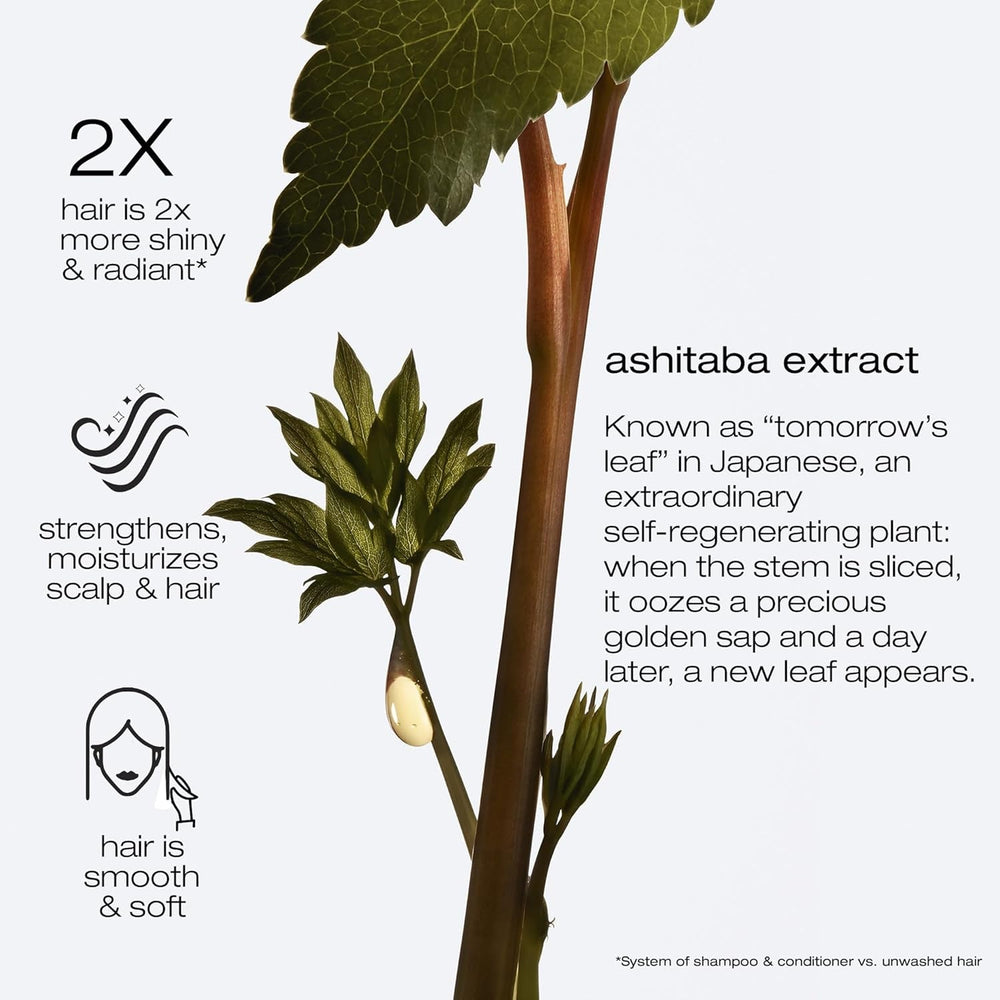 Shu Uemura, Ashita Supreme, Mască de păr revitalizantă intensivă, Pentru toate tipurile de păr, Cu extract de ashitaba, Pentru mai multă strălucire și suplețe, Anti-spliss, 200 ml Masca de par Naty Shop