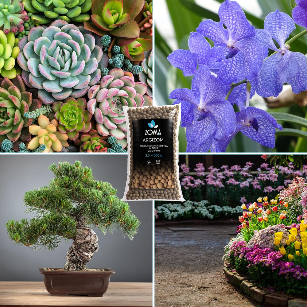 Argilla espansa per piante in vaso, palline di argilla per drenaggio e aerazione, argilla espansa per coltura idroponica e decorazioni estetiche senza coloranti chimici - 650 g