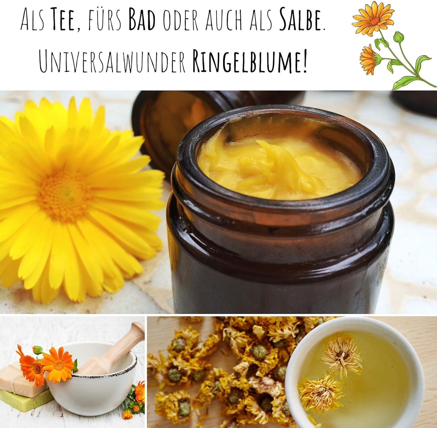 Semi di calendula (Calendula officinalis) - Pianta medicinale versatile con fiori commestibili e ideale per un prato fiorito colorato (Abendrot)