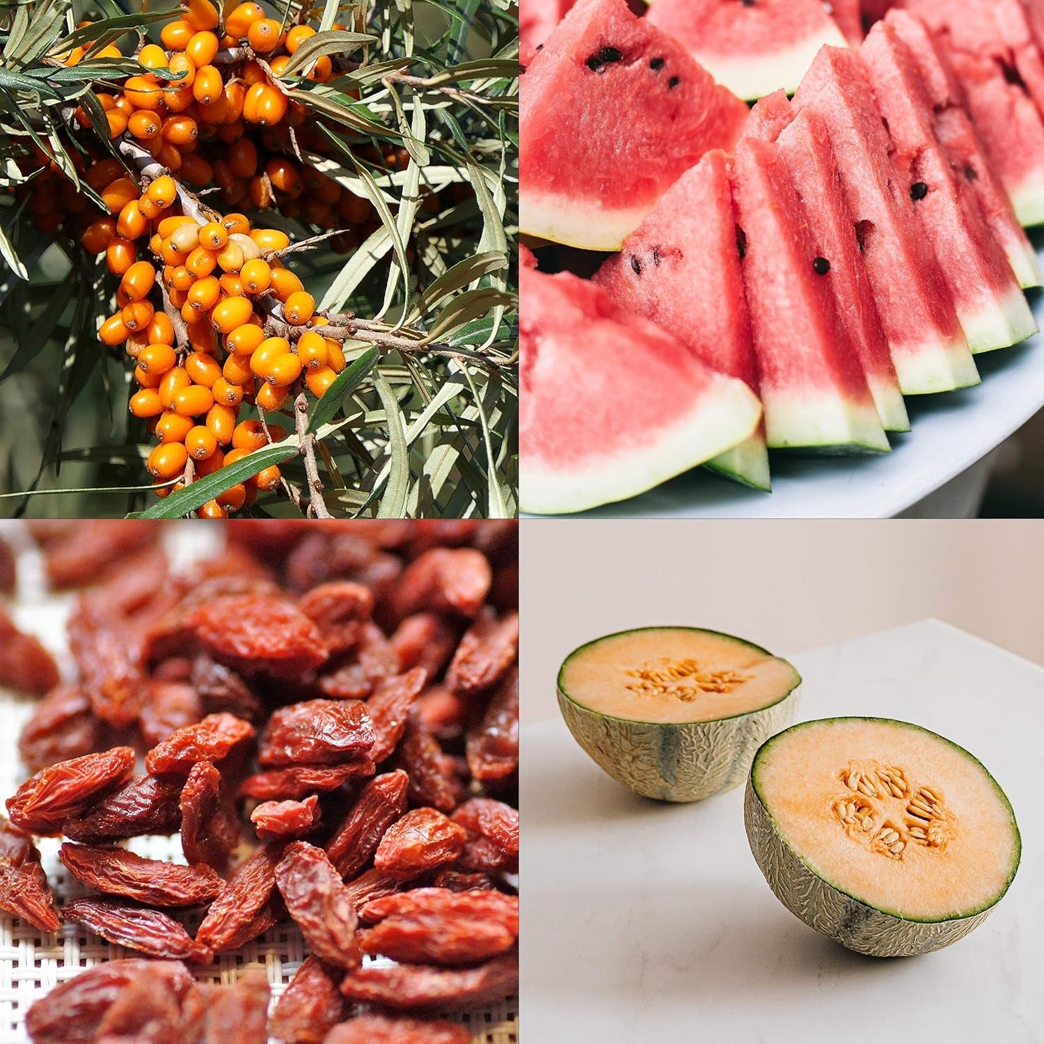 Set di semi di frutta: semi da giardino premium con 8 varietà di piante da frutto per giardino e balcone - Semi di anguria, semi di fragola, uva spina, rabarbaro e altro ancora - Set regalo di semi di frutta di OwnGrown