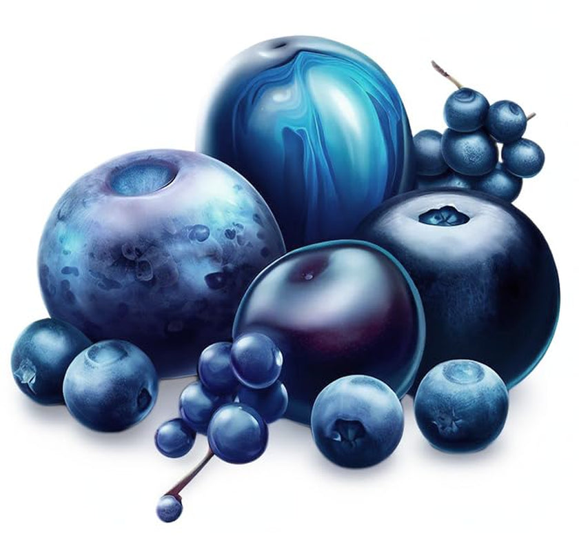 Coloranți alimentari pudră colorant natural Fruity Line BLUEBERRY 20G pudră colorantă naturală pentru creme glazură burete aluat sub formă de pudră colorant alimentar pentru băuturi jeleuri