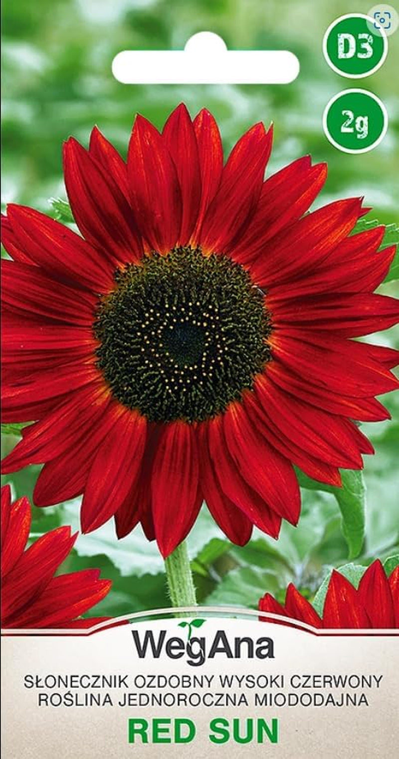 Semi Cosmos Sensation Mix 1g, Cosmos Mix Fiori estivi, Piante da giardino Piante da balcone, Semi di fiori