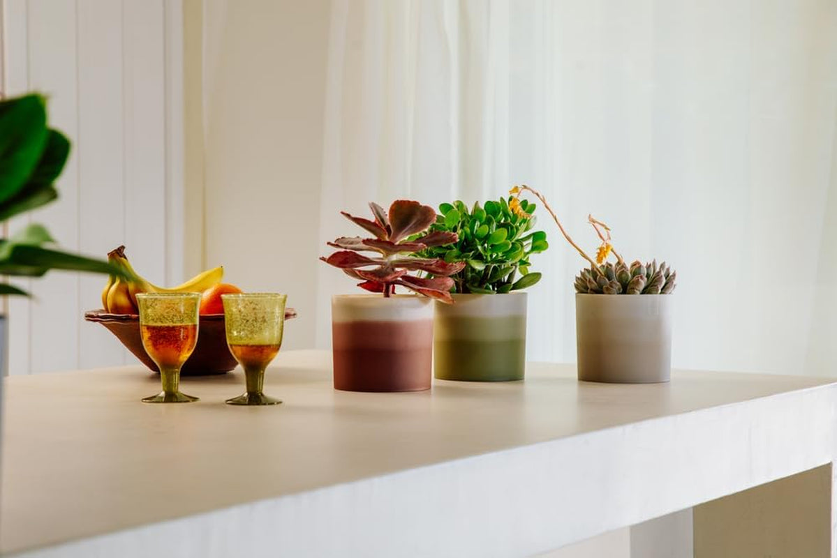 Ghiveci rotund elho Colour Gradient 18cm - Ghiveci de flori de interior - 100% plastic reciclat - Ø 18,2 x H 16,8 - Bej/Bej Gresie