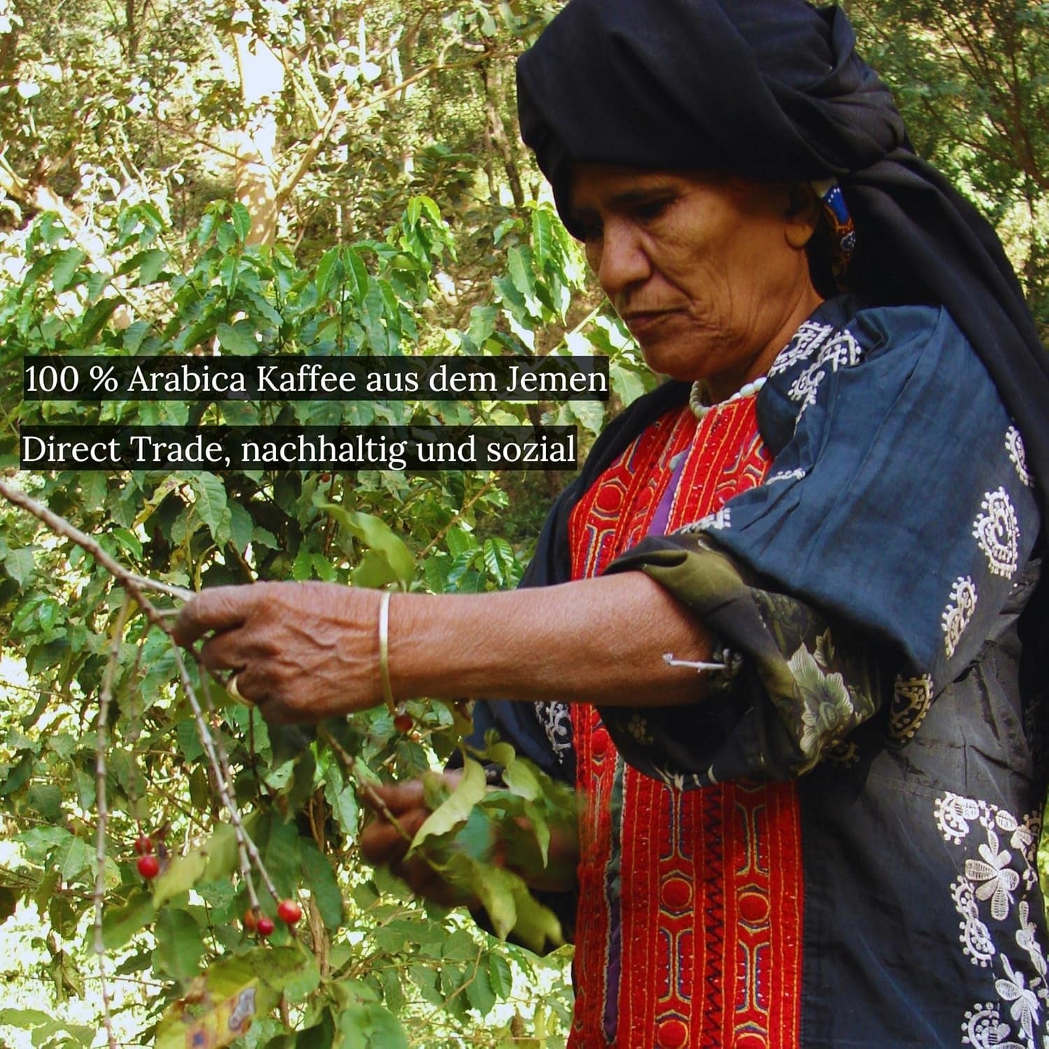 Boab de Mocha Khulani din Yemen | Cafea specială din Yemen de la CoffeePearls® | 100% Arabica, boabe întregi