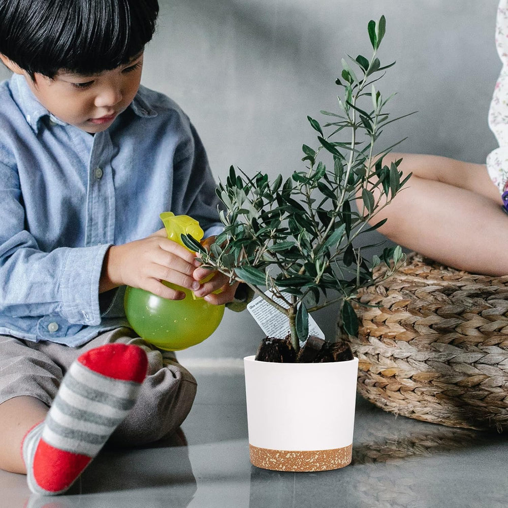 Set di 2 vasi da fiori da 12,7 cm, vasi per piante da interno con fori di drenaggio e base rimovibile, sottovasi decorativi moderni per fioriere da giardino all'aperto (Bianco 12,7 cm)