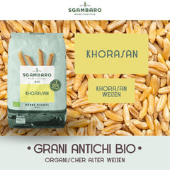 Penne Rigate Bio N.91 - 500g di Grano Khorasan - Grano antico, ricco di proteine, coltivato al 100% in Italia - Versatile in cucina e ricco di nutrienti