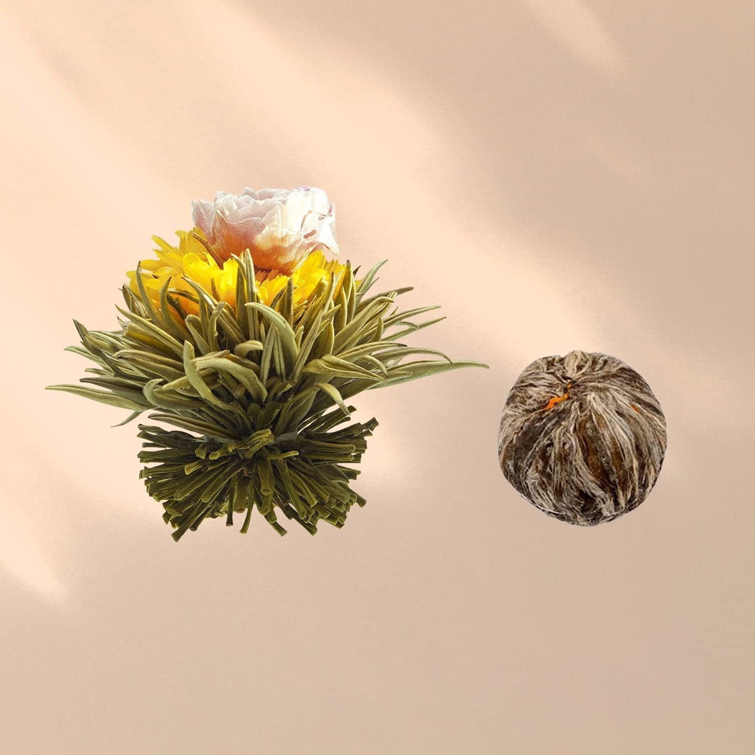 Feelino Cutie mixtă elegantă cu 6 bucăți - Flori de ceai Feelino White într-o cutie superbă de degustare și cadou cu 6 trandafiri de ceai alb diferiți, ambalați individual în vid, pachet cu 1 bucată