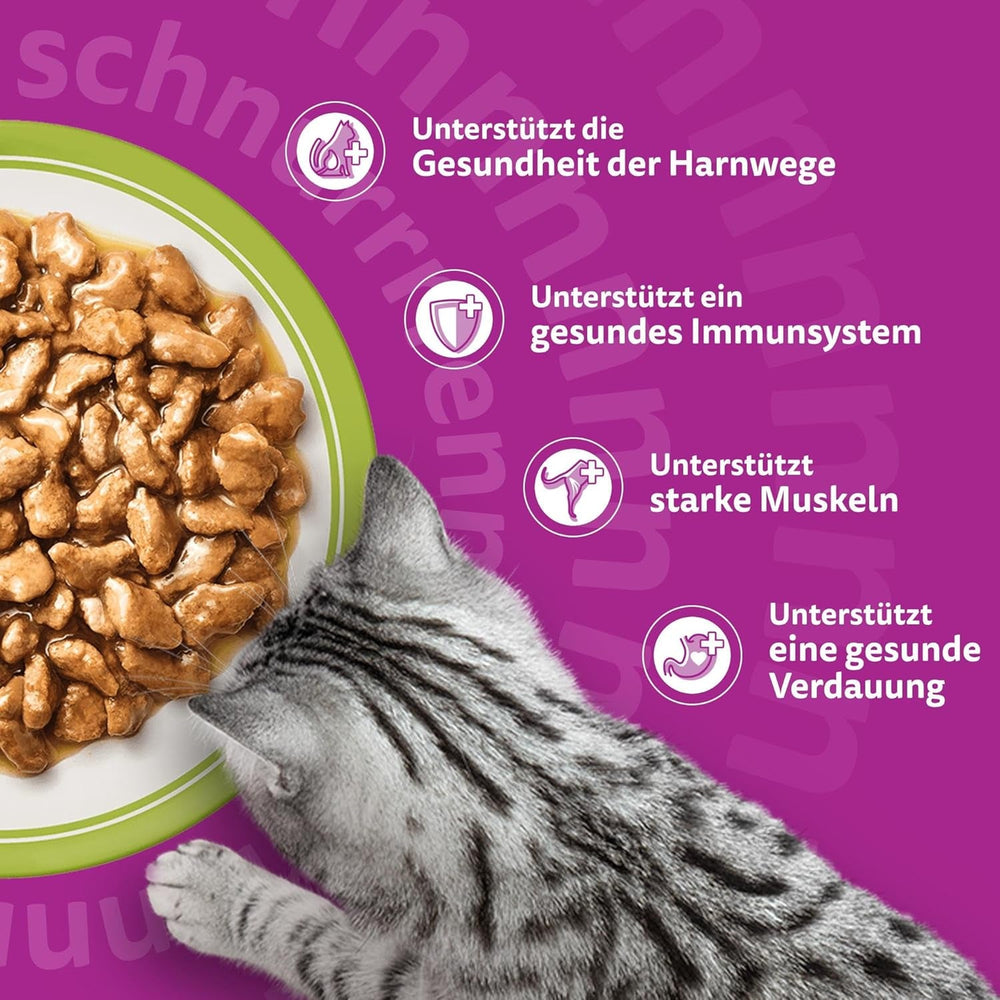 Hrană umedă Whiskas Senior 7+ Selecție mixtă în jeleu, 84 pliculețe, 84x85g (1 pachet mare) – Hrană umedă de înaltă calitate pentru pisici de 7 ani și peste