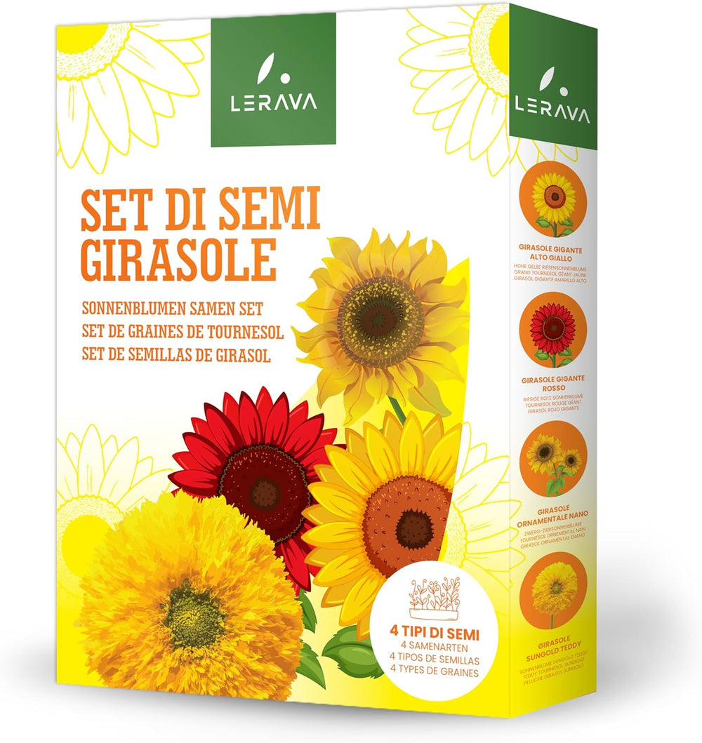 LERAVA® Sonnenblumen Samen Set (4 tipi) - Riesige gelbe & rote Sonnenblume - Zwerg und Sungold Teddy - Premium Sonnenblumensamen für Garten und Balkon - Blumensamen Geschenk für Hobbygärtner