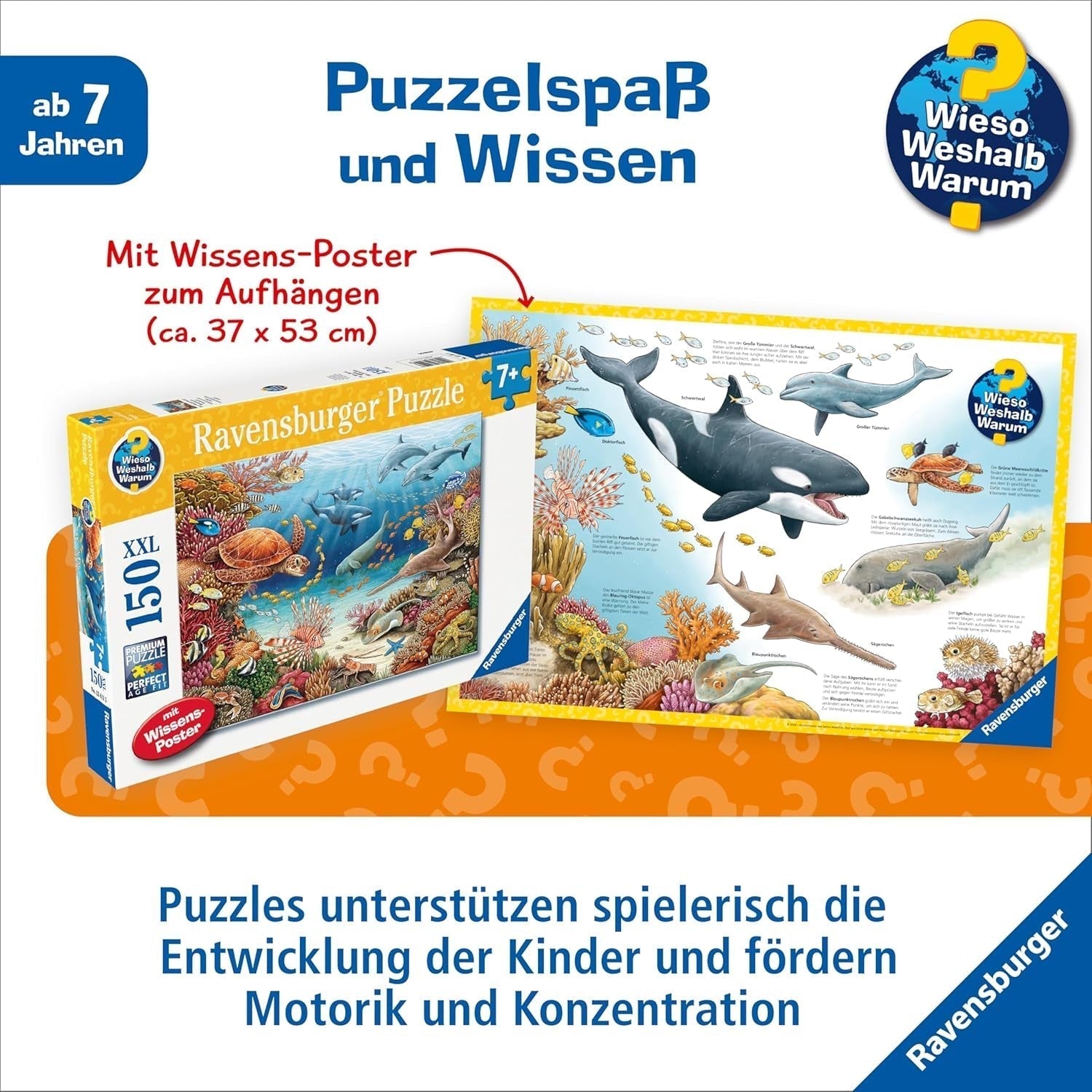 Ravensburger children's puzzle 13411 - Creaturi marine pe reciful de corali - De ce? De ce? De ce? Puzzle 150 piese XXL + poster de cunoștințe, pentru copii de la 7 ani Puzzle Naty Shop