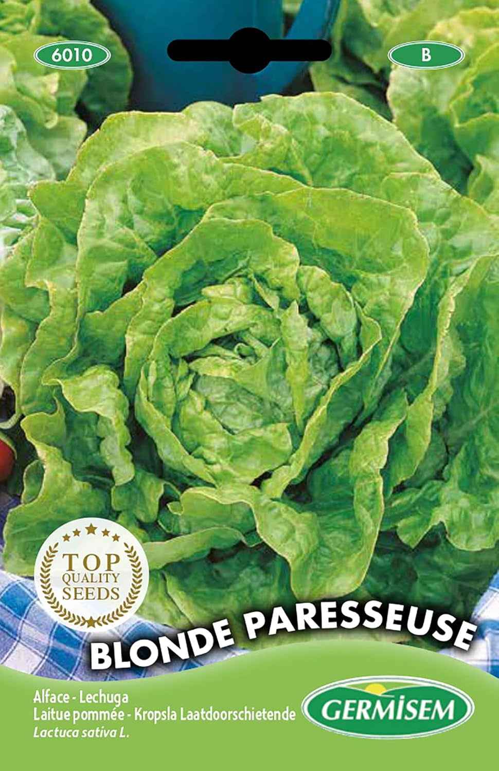 Schnittsalat FRISEE D´AMERIQUE, Mehrfarbig, EC6005