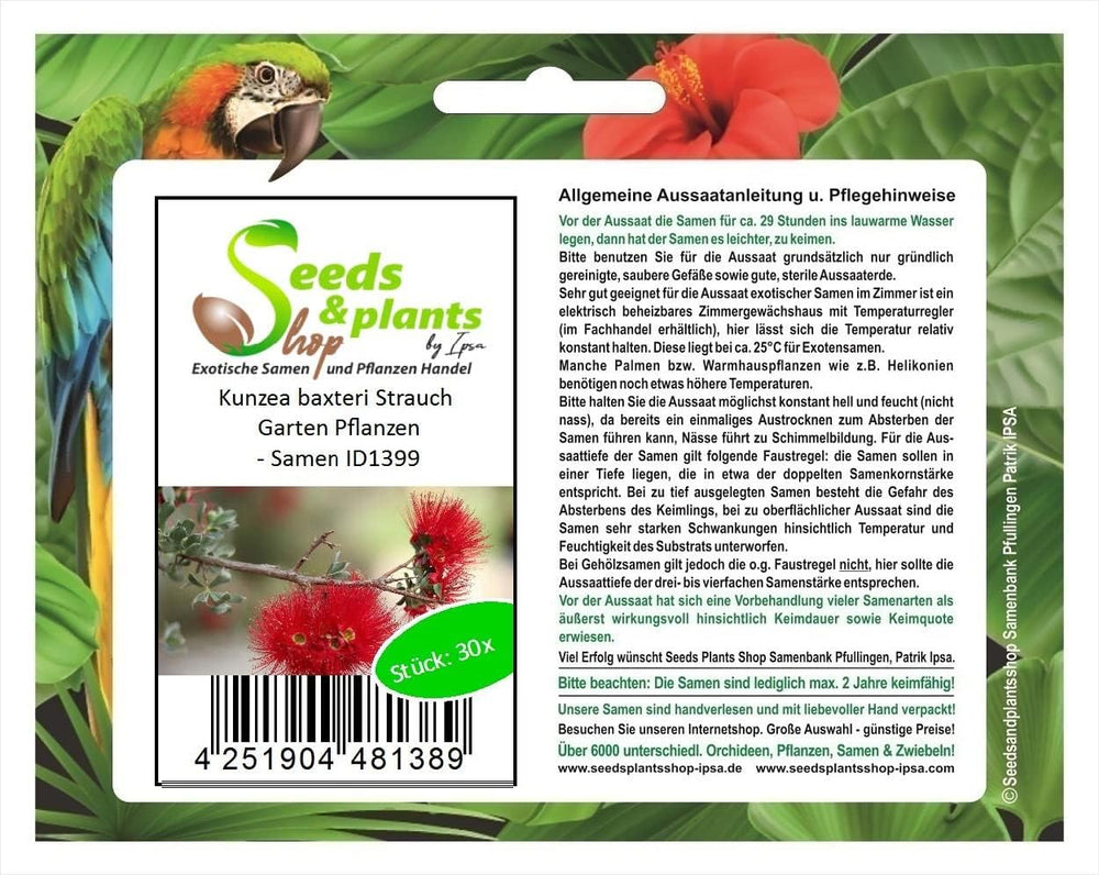 Stk - 30X Kunzea Baxteri Strauch Garten Pflanzen - Samen ID1399 -