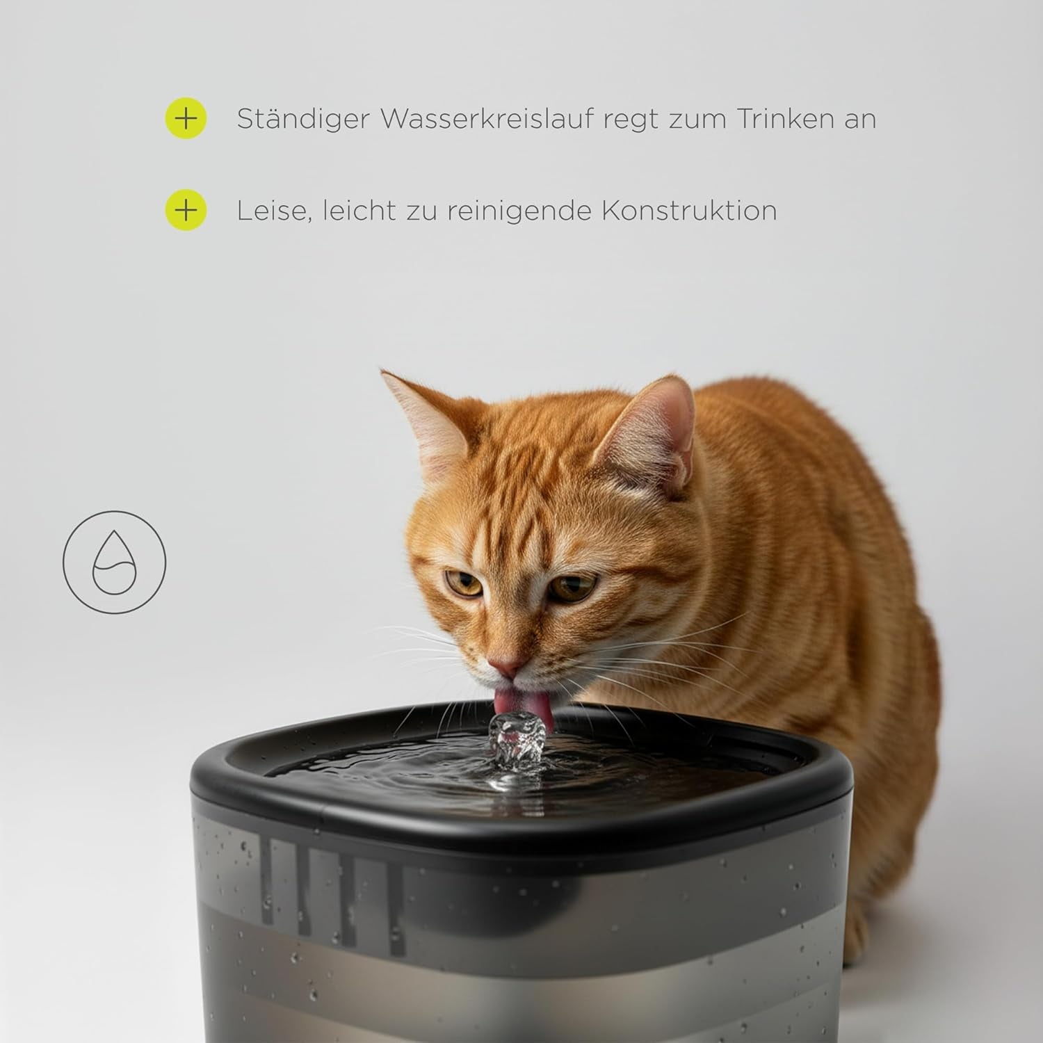 Feast Automatische Futterautomat Katze mit App und Kamera, Live-Video mit Nachtsicht und Zwei-Wege-Audio, Portionskontrolle, Edelstahl-Napf, Katzen Trinkbrunnen mit Filter, 4.5 l und 2.5 l