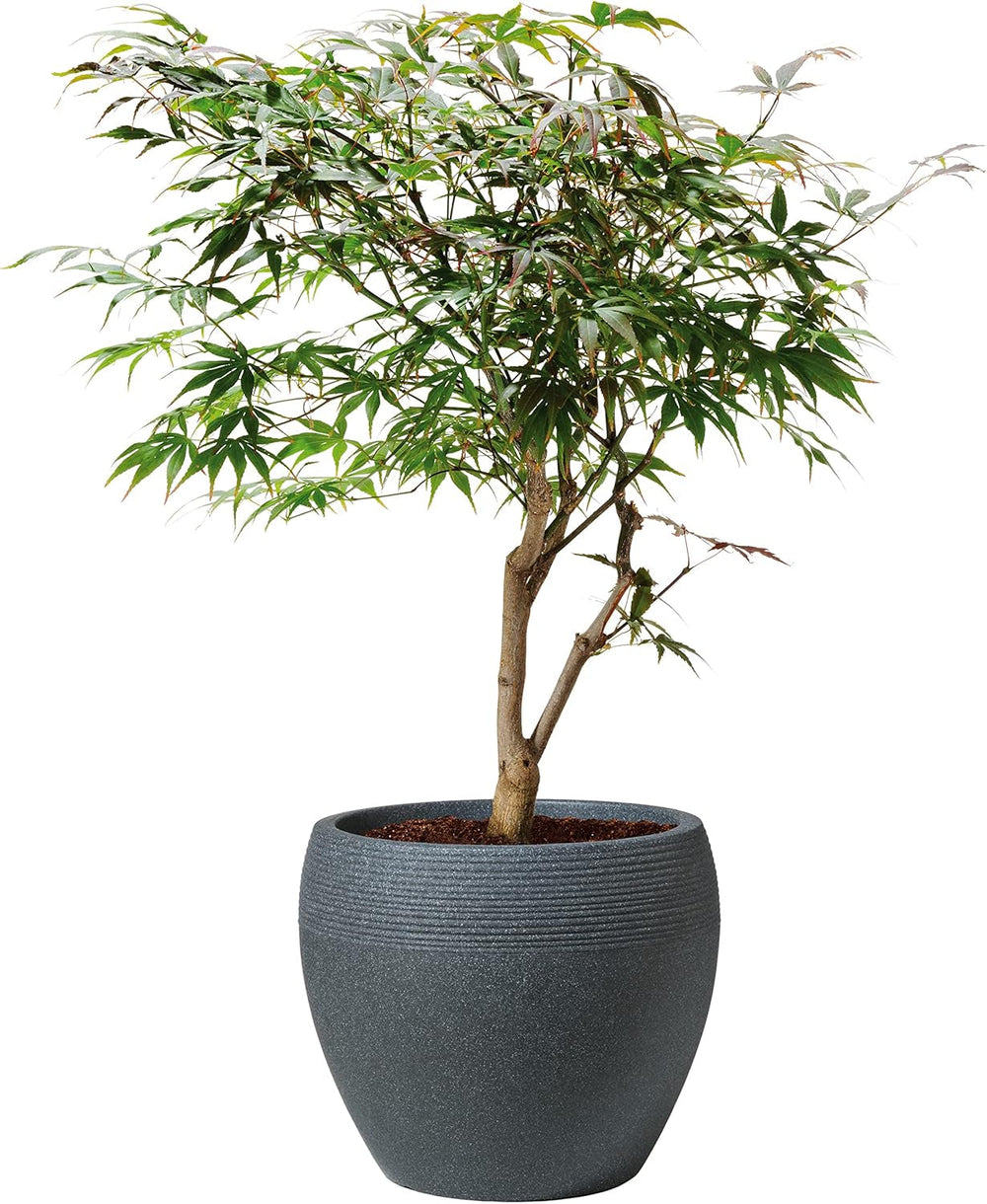 Scheurich Lineo, ghiveci din plastic, granit negru, diametru 30 cm, înălțime 24,1 cm, volum 11 l.