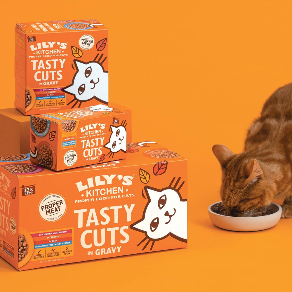 Bucătărie Lily's, preparată cu ingrediente naturale, bucăți delicioase în sos cu pui, hrană umedă pentru pisici adulte, conservă de 70g