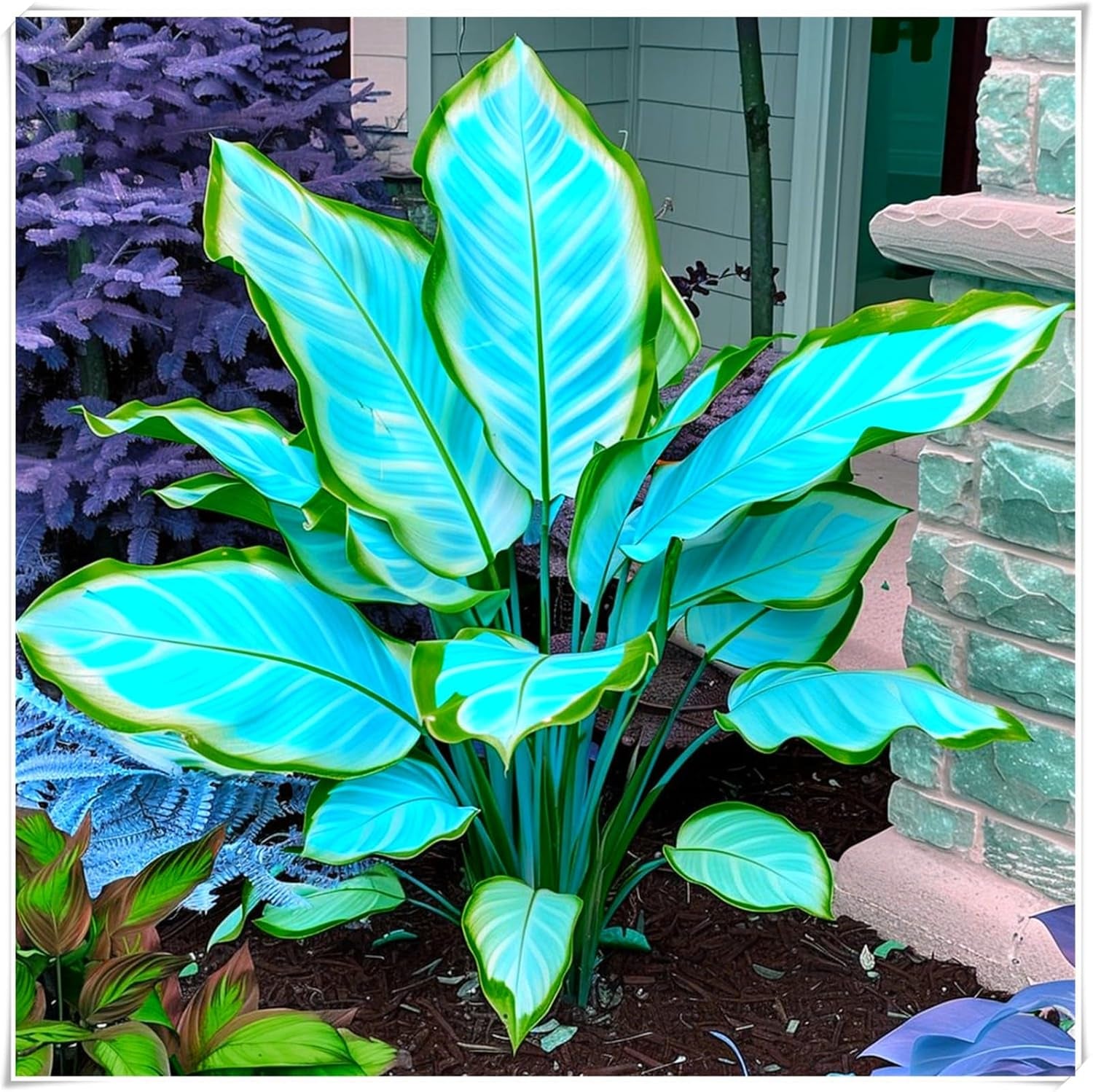 Mix di bulbi da fiore, bulbo magico misterioso, piantagione resistente, bulbo da fiore perenne resistente all'inverno, bulbi resistenti - 3 bulbi di orchidea