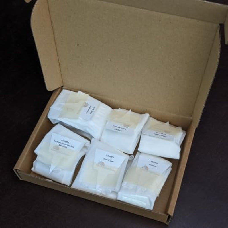 Lithops Lesliei - Sunnyplants, Seltene Lithops, Lithops Pflanzen, Lebende Stein Sukkulenten, Lebende Steinpflanzen, Lebende Steine, Lithops